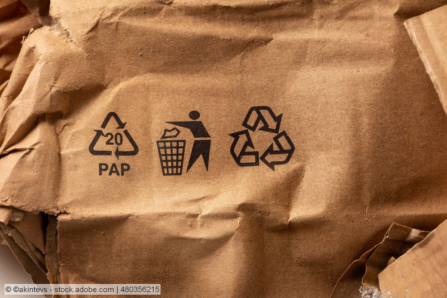 Recyclingfähigkeit von faserbasierten Verpackungen: 4evergreen arbeitet unter Hochdruck an Protokollen 
